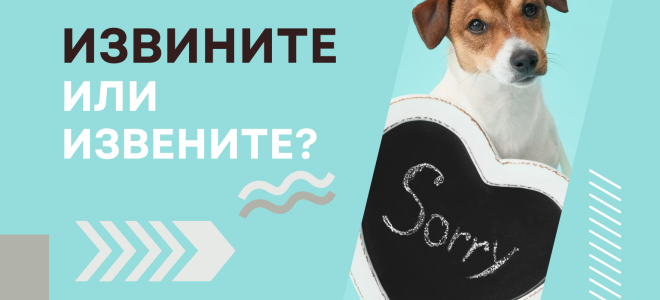 Извините или извените?