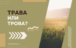 Трава или трова?