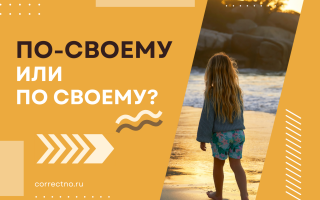 По-своему или по своему?