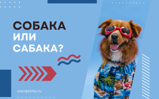 Собака или сабака?