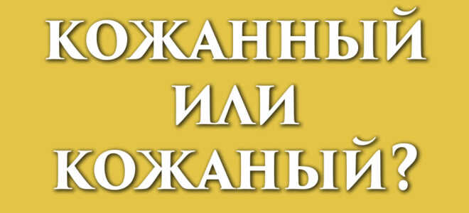 Кожаный или кожанный?