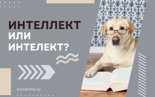 Интеллект или интелект?