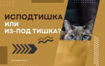 Исподтишка или из-под тишка?