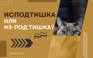 Исподтишка или из-под тишка?