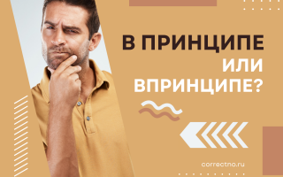 В принципе или впринципе?