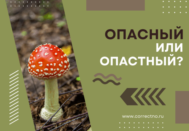 Опасный или опастный: как правильно пишется слово?
