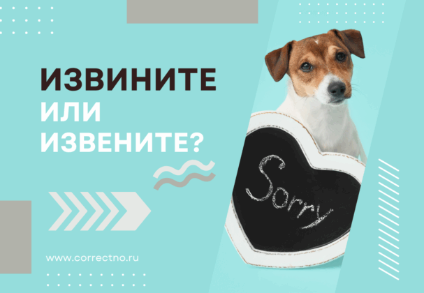 Извините или извените: как правильно пишется слово? Через и или е?