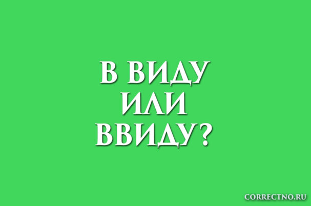 надпись: ввиду или в виду