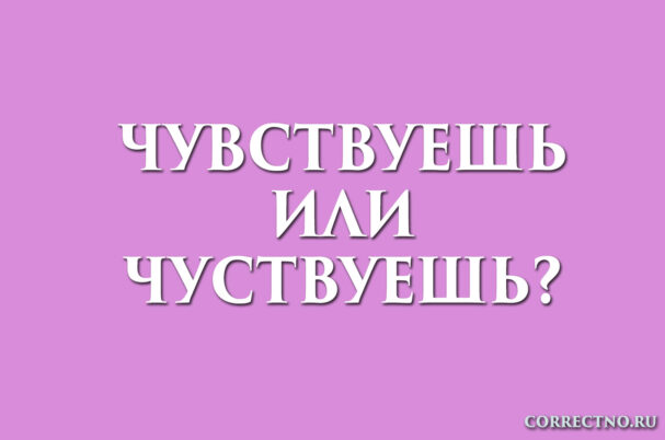 надпись: чувствуешь или чуствуешь