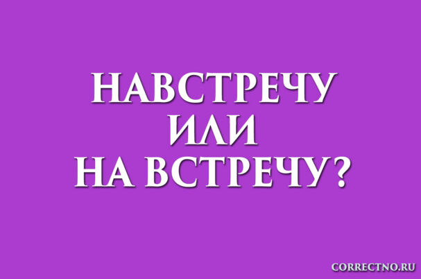 надпись: навстречу или на встречу