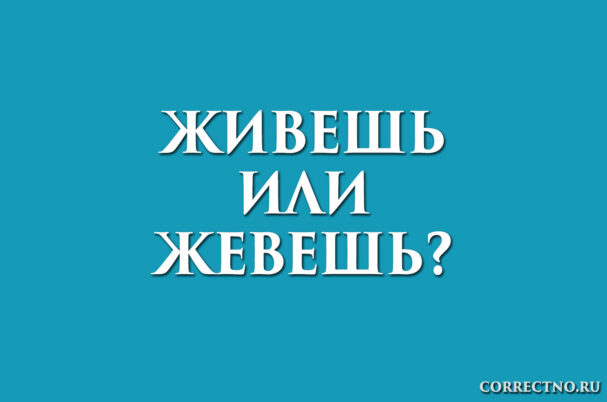 надпись: живешь или жевешь?