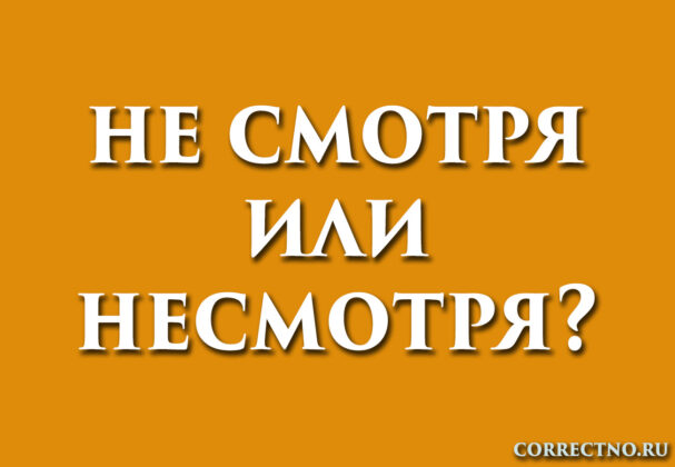 надпись: несмотря или не смотря