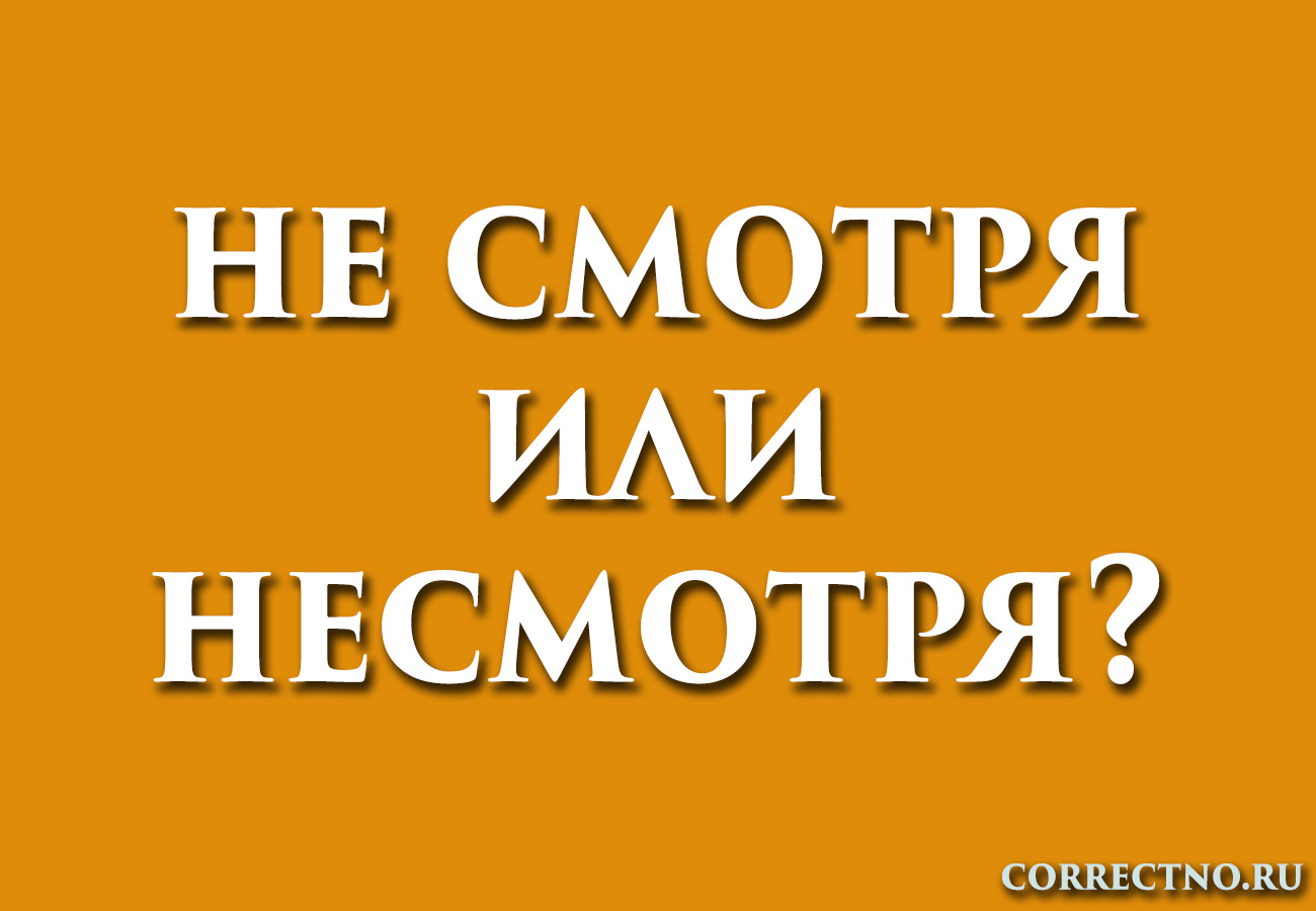 Несмотря или не смотря: как правильно пишется слово?