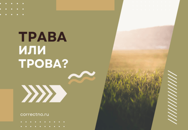 Трава или трова: как правильно пишется слово?