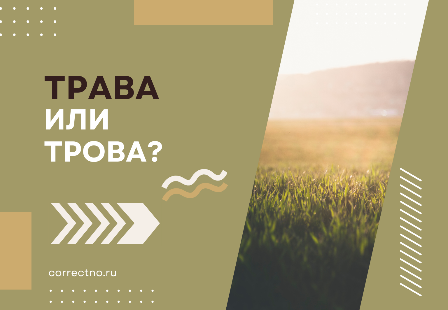 Трава или трова: как правильно пишется слово?