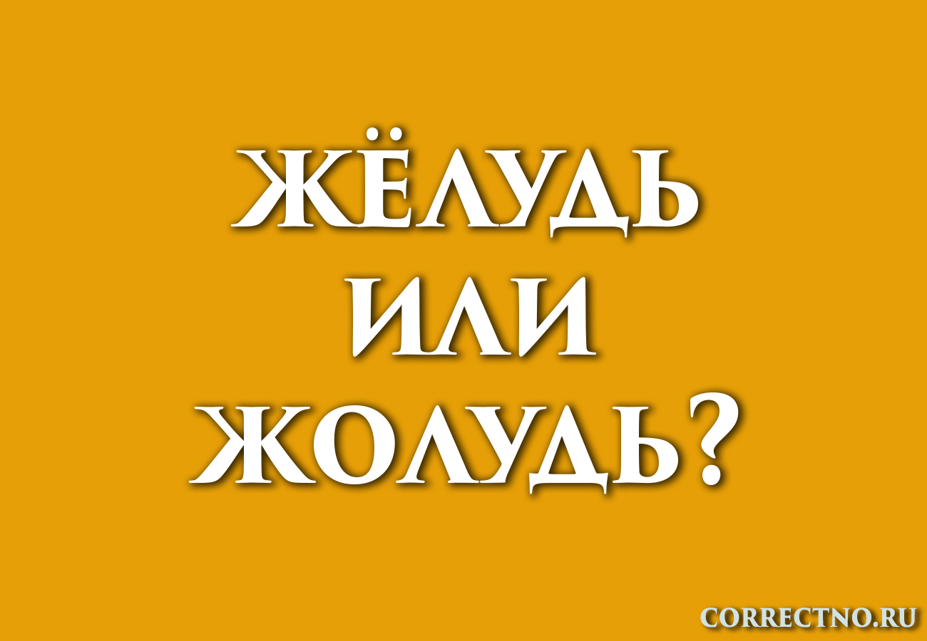 Желудь проверочное слово. Желудь правописание. Как пишется слово Жолудь или Желудь правильно. Как правильно писать слово Желудь через о или е. Жёлудь проверочное.