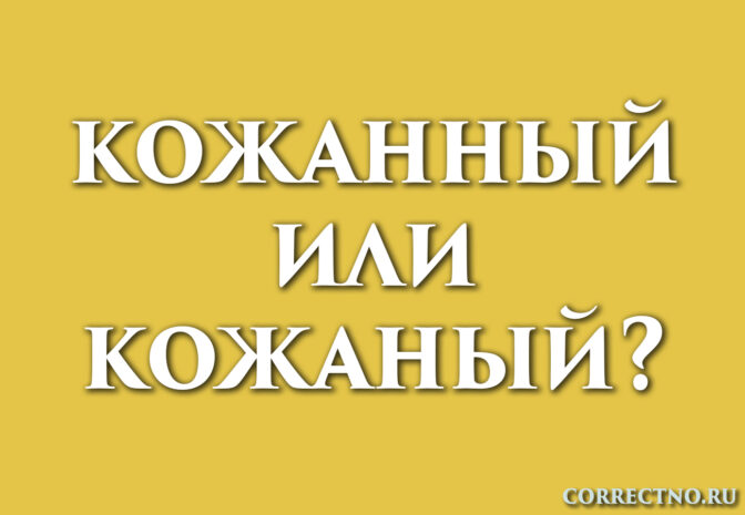 Надпись: кожаный или кожанный?