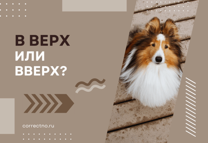 Вверх или в верх: как правильно пишется слово?