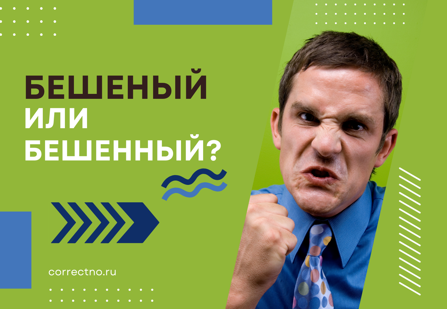 Бешеный или бешенный: как правильно пишется слово? С двумя НН или с одной Н?