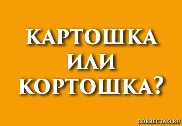 Картошка или кортошка: как правильно пишется слово?