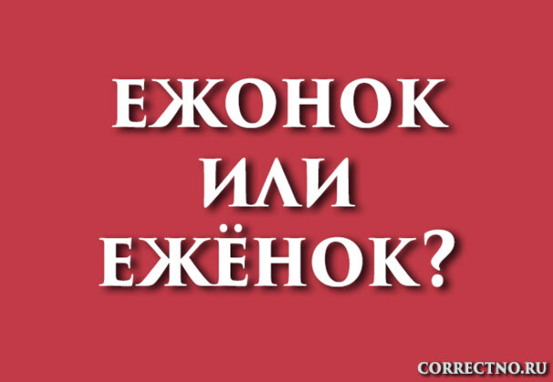 Ежонок или ежёнок: как правильно пишется слово?