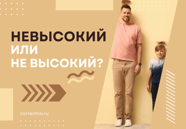 Невысокий или не высокий: как правильно пишется слово?