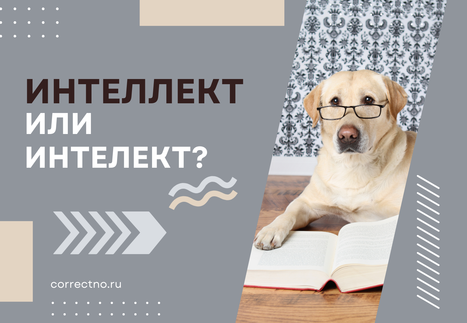 Интеллект или интелект: как правильно пишется слово? С двумя ЛЛ или с одной Л?