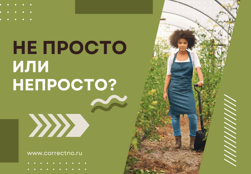 Непросто или не просто: как правильно пишется слово? Слитно или раздельно?