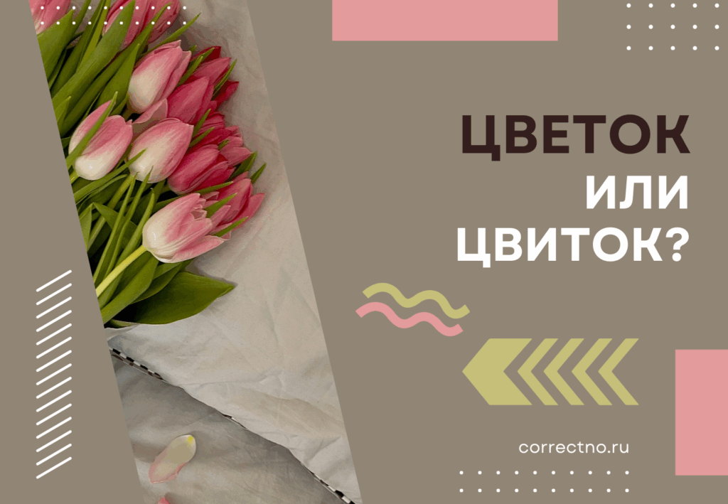 Как правильно пишется: цветок или цвиток ? Через И или Е?